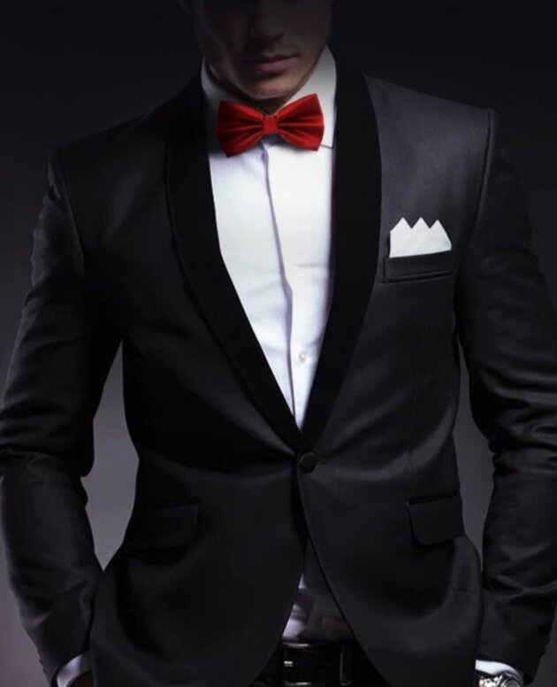 Men's Solid Color Formal Wear Wedding Business Casual Groom Groomsman Bow Tie